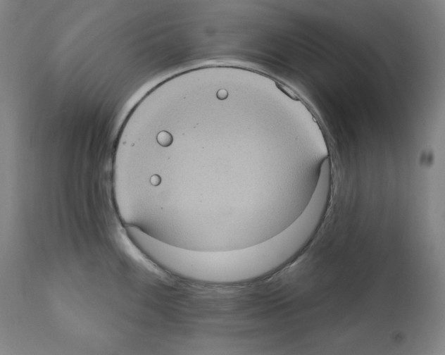 X0000112351100200909241056