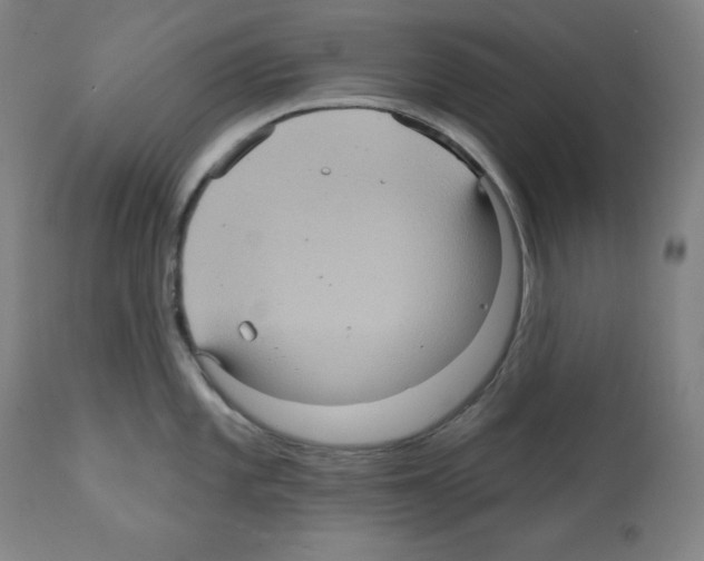 X0000112351101200909241056