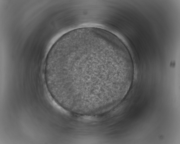 X0000112351102200909241056