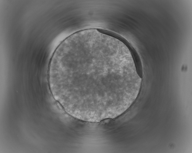 X0000112351104200909241056