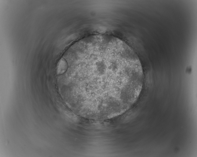 X0000112351105200909241055