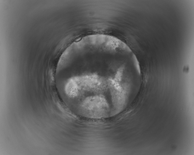 X0000112351106200909241055