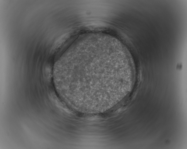 X0000112351108200909241055