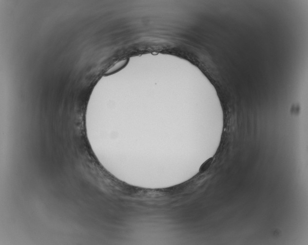 X0000112351109200909241055