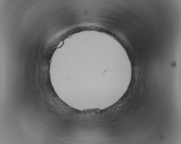 X0000112351111200909241055