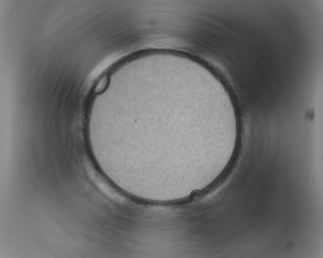 X0000112351114200909241055