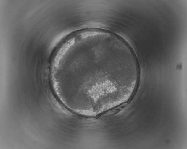 X0000112351115200909241055