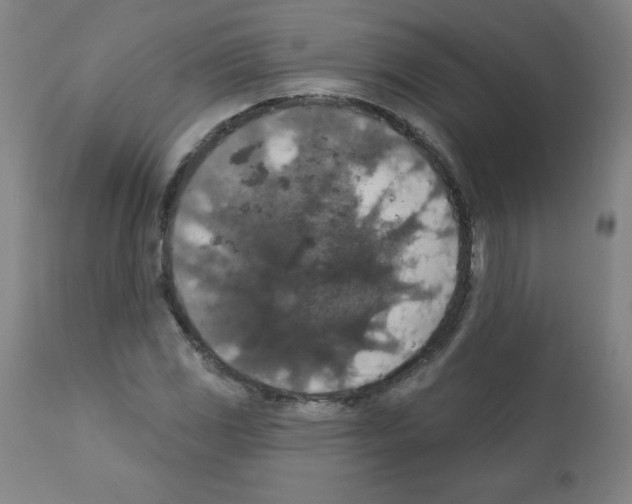 X0000112351117200909241055