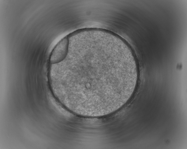 X0000112351120200909241055