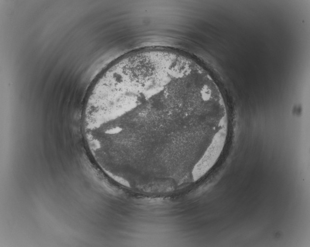 X0000112351121200909241055