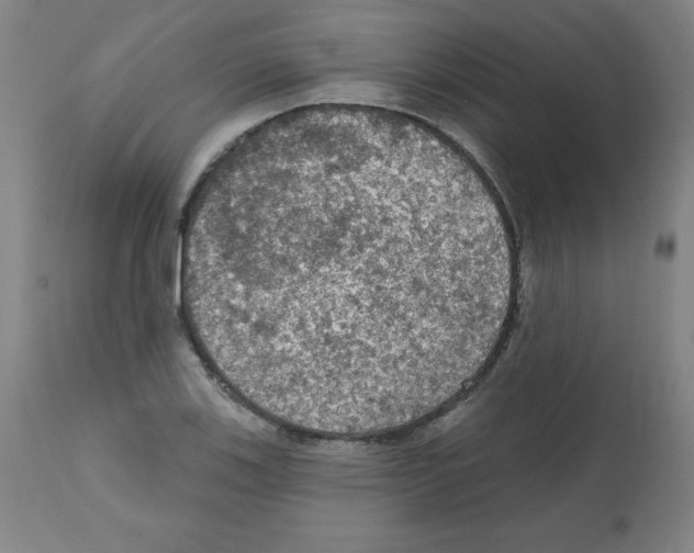 X0000112351123200909241055