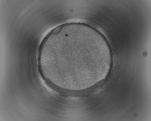 X0000112351124200909241055