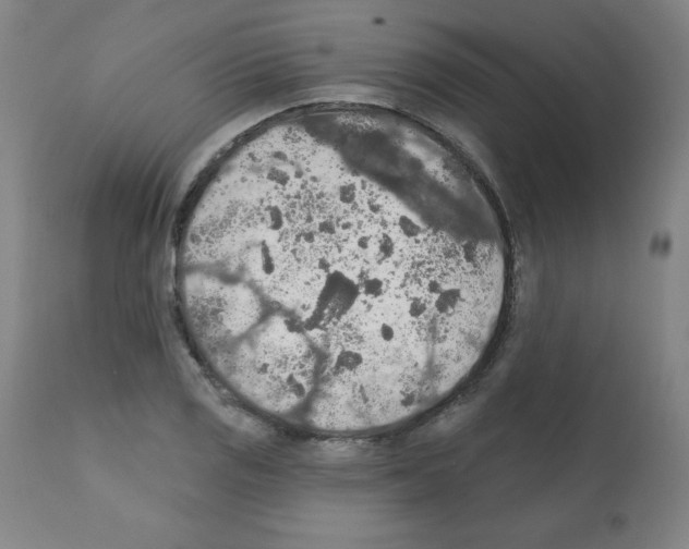 X0000112351125200909241055