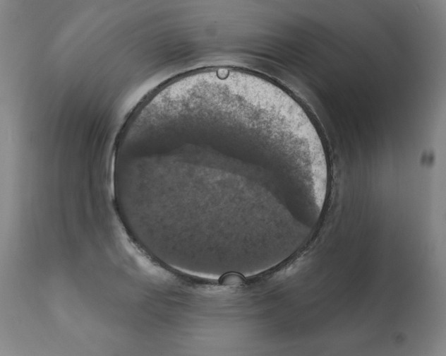 X0000112351127200909241055