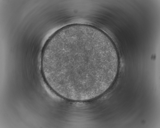 X0000112351128200909241055