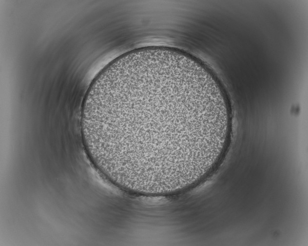 X0000112351129200909241055