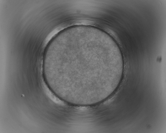 X0000112351130200909241055