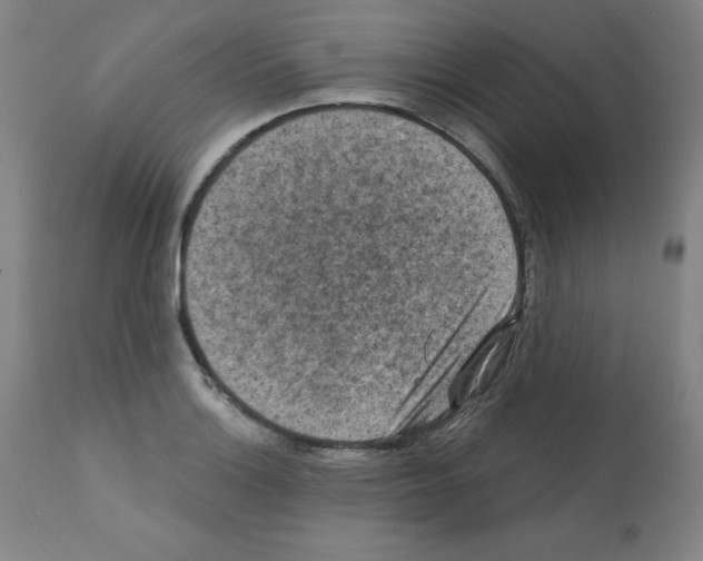 X0000112351132200909241055