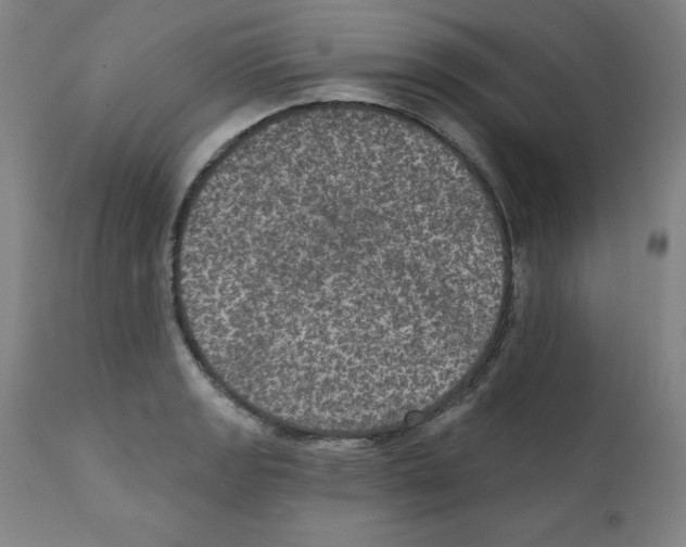 X0000112351133200909241055