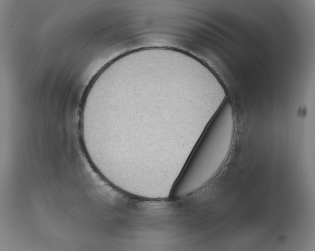 X0000112351134200909241055