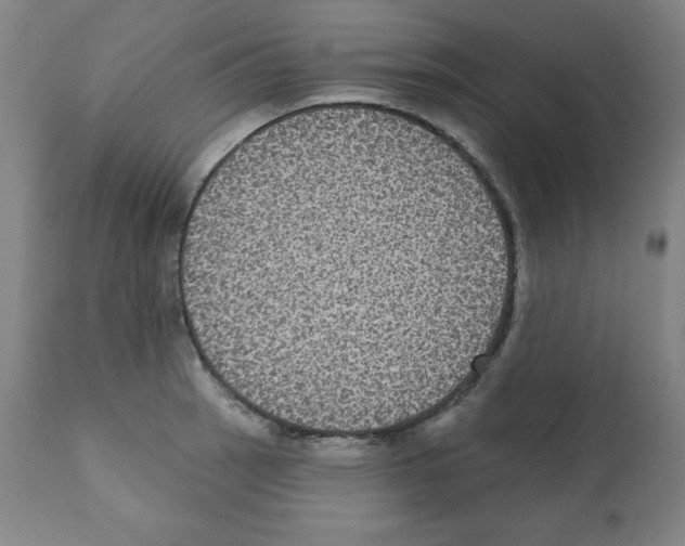 X0000112351137200909241055