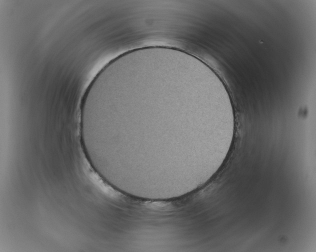 X0000112351140200909241056