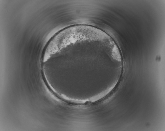 X0000112351141200909241056