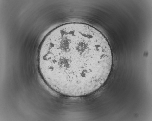 X0000112351142200909241056