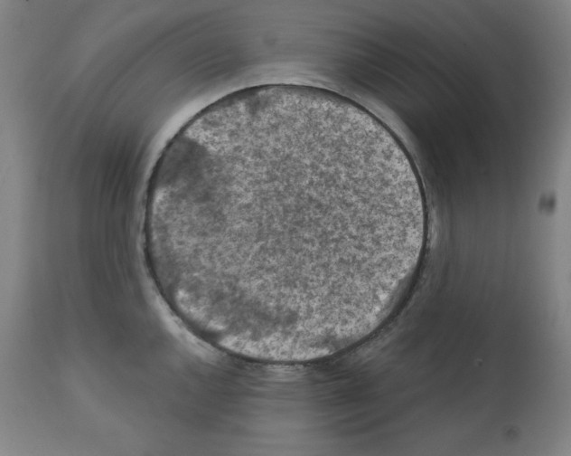 X0000112351144200909241056