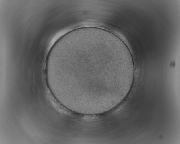 X0000112351146200909241056