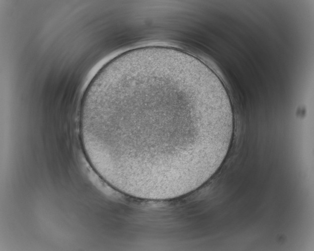 X0000112351148200909241056