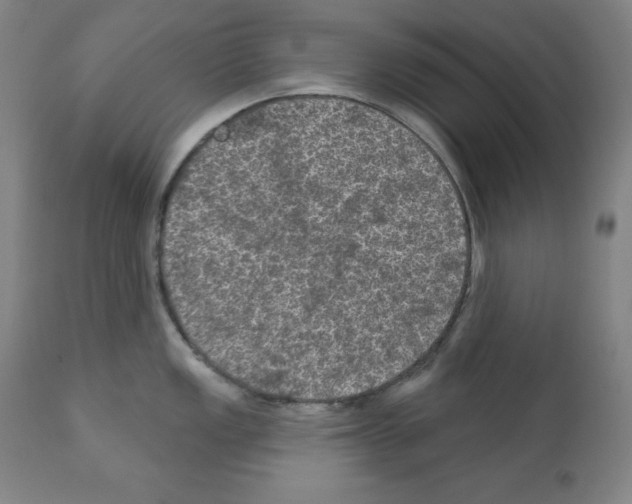 X0000112351149200909241056