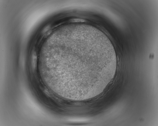 X0000112351151200909241056