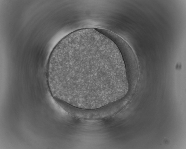 X0000112351152200909241056