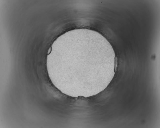 X0000112351153200909241055