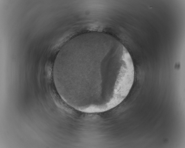 X0000112351154200909241055