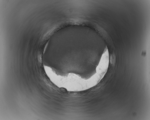 X0000112351155200909241055