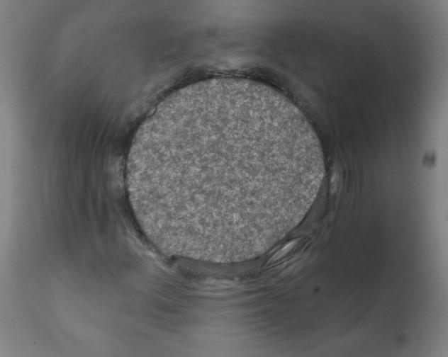 X0000112351156200909241055