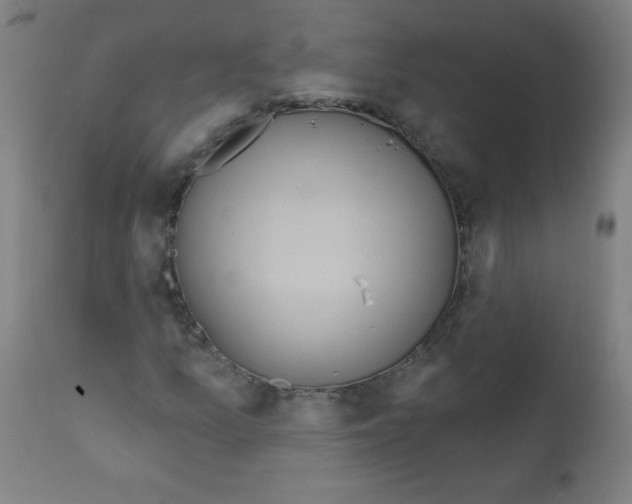 X0000112351157200909241055