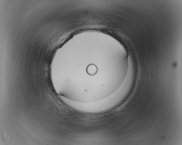 X0000112351161200909241055