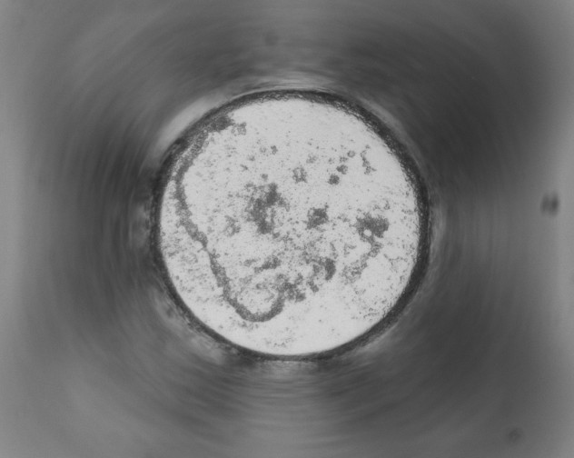 X0000112351163200909241055