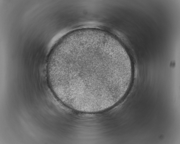 X0000112351164200909241055