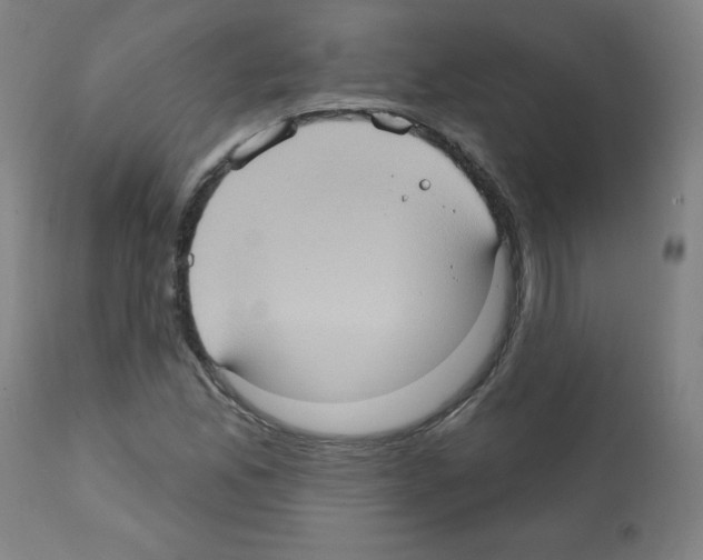 X0000112351165200909241055