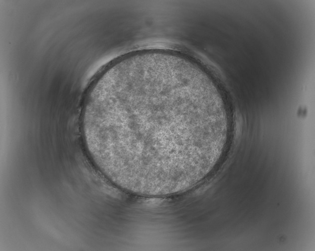 X0000112351166200909241055