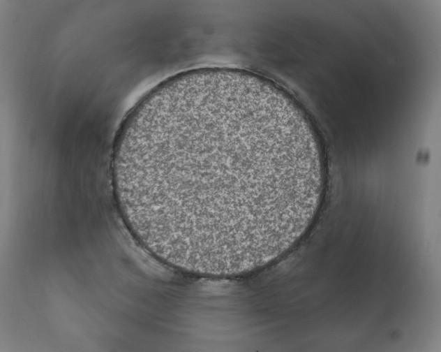 X0000112351168200909241055