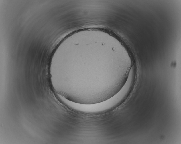 X0000112351169200909241055