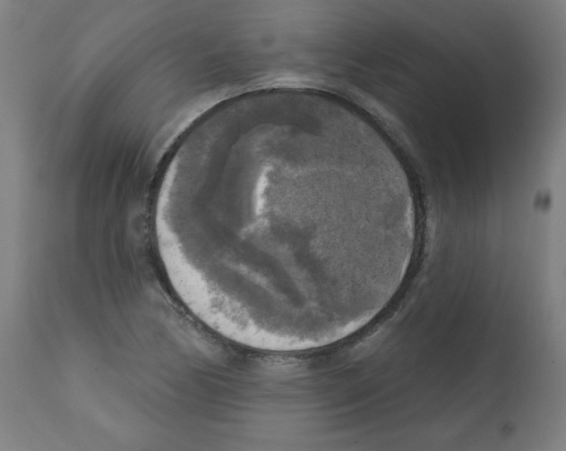 X0000112351170200909241055