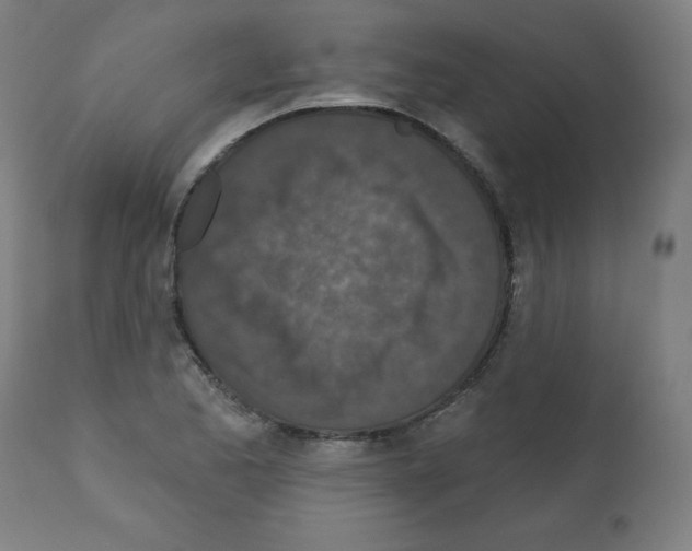 X0000112351173200909241055