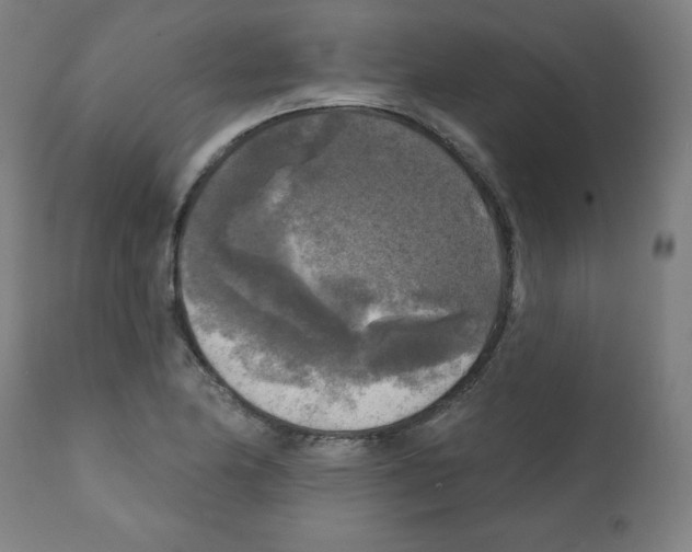 X0000112351174200909241055