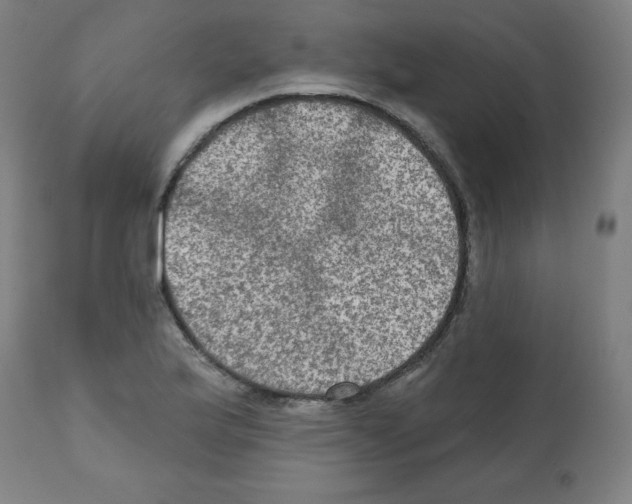 X0000112351175200909241055